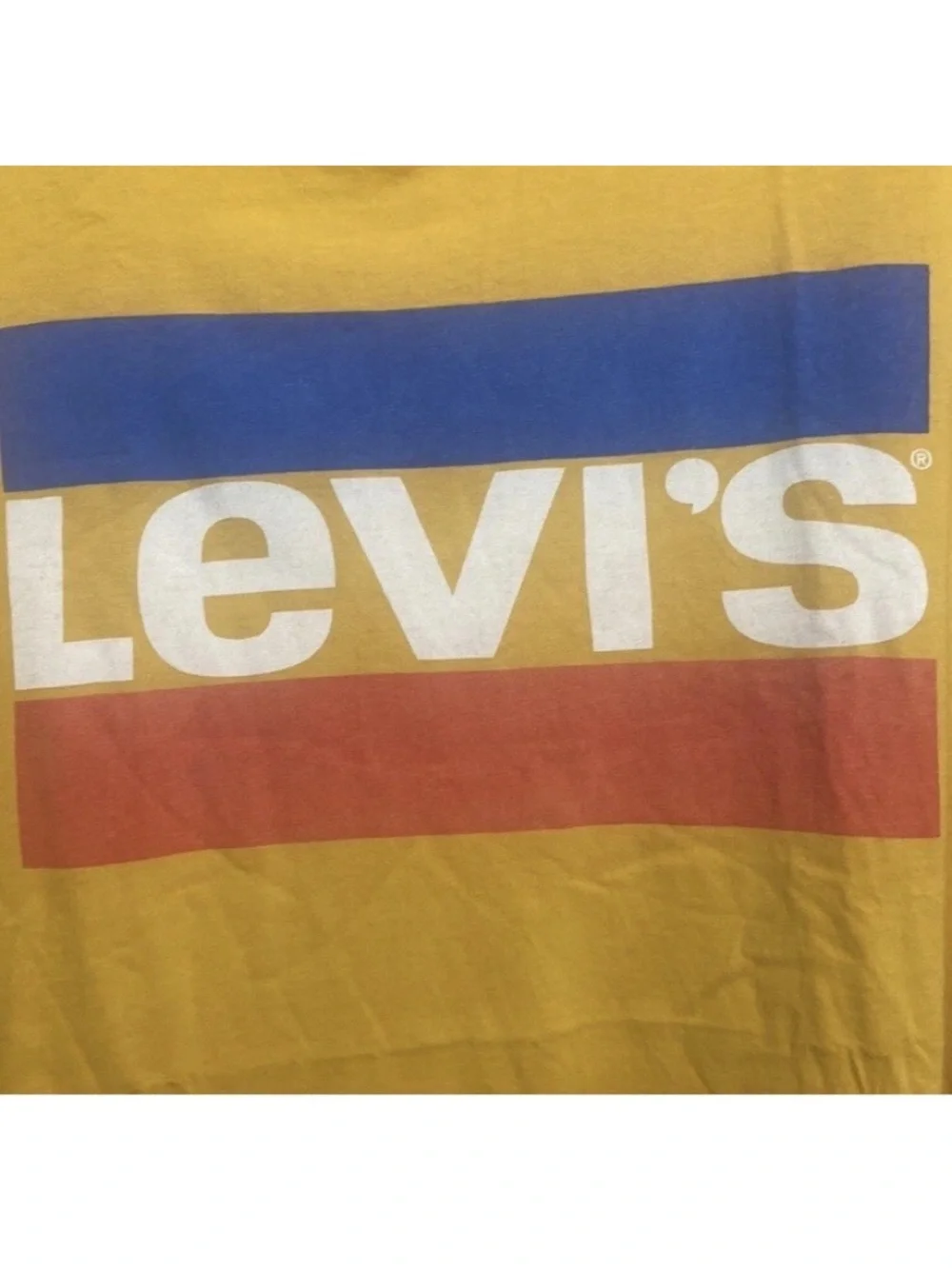 Levis iconic levi